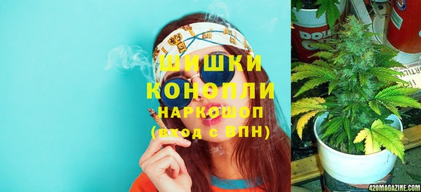 apvp Аркадак