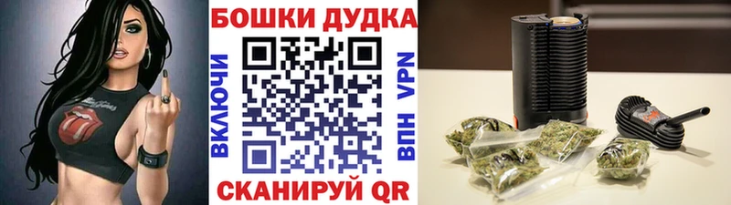 Бошки Шишки планчик  Билибино 